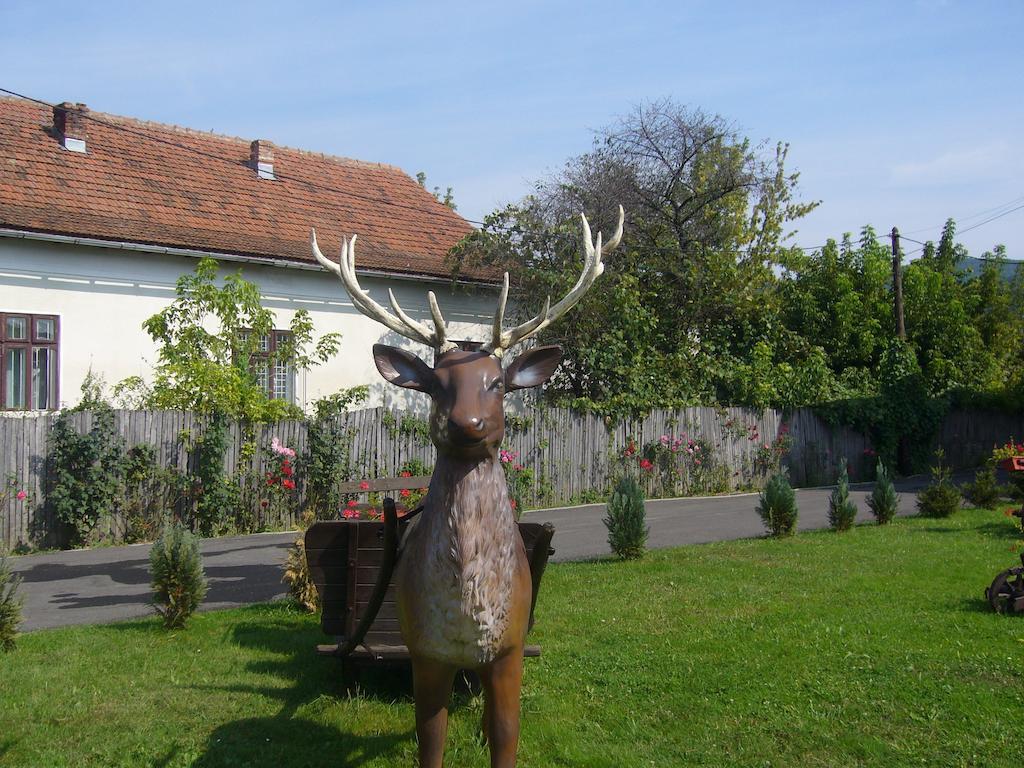 Pensiunea Mara Baiculesti Exteriér fotografie
